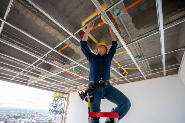 Best Local Plumber Services  in Sikeston, MO